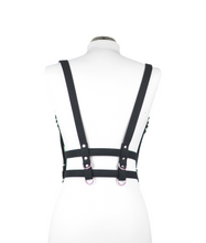 Load image into Gallery viewer, Fer Harness + Pride SALE