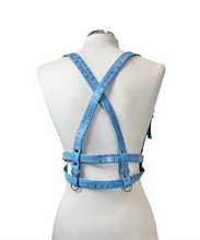 Load image into Gallery viewer, Fer Harness + Pride SALE