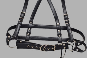 Fer Harness