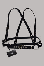 Load image into Gallery viewer, Fer Harness + Pride SALE