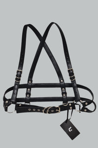 Fer Harness + Pride SALE