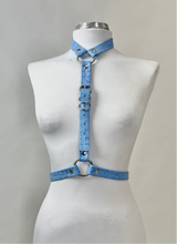 Load image into Gallery viewer, Anne Harness - Pride SALE