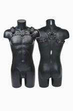 Load image into Gallery viewer, Dante Harness