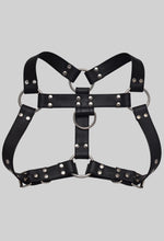 Load image into Gallery viewer, Facundo Harness