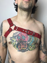 Load image into Gallery viewer, Fede Harness - Pride SALE