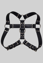 Load image into Gallery viewer, Facundo Harness