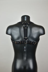 Facundo Harness - Custom-made