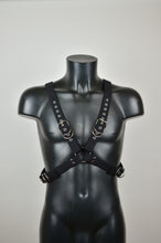 Load image into Gallery viewer, Gonzalo Harness - Custom-made