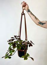 Load image into Gallery viewer, Plant Harness - Vegan Leather