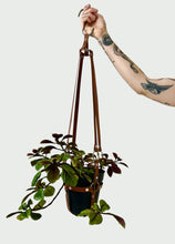 Load image into Gallery viewer, Plant Harness + Ready-made