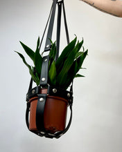 Load image into Gallery viewer, Plant Harness - Vegan Leather