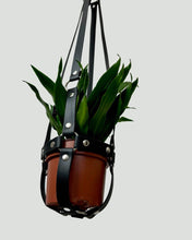 Load image into Gallery viewer, Plant Harness - Vegan Leather - ON SALE