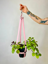 Load image into Gallery viewer, Plant Harness - Vegan Leather