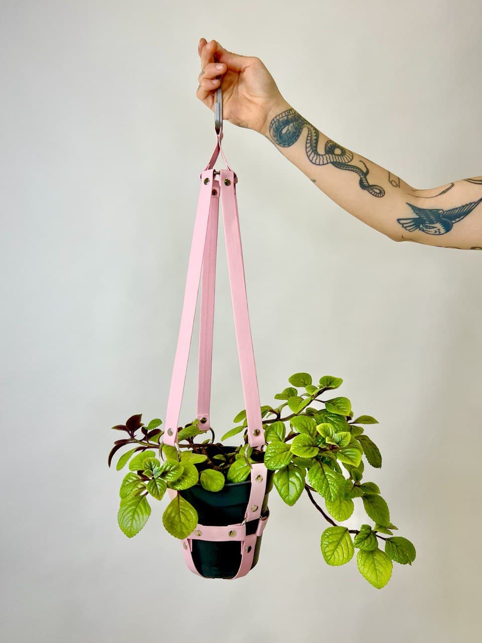 Plant Harness - Vegan Leather