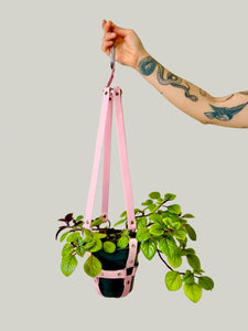Plant Harness + Ready-made
